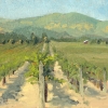 Vineyard #2